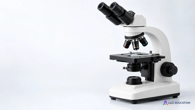 Du microscope à la trachée